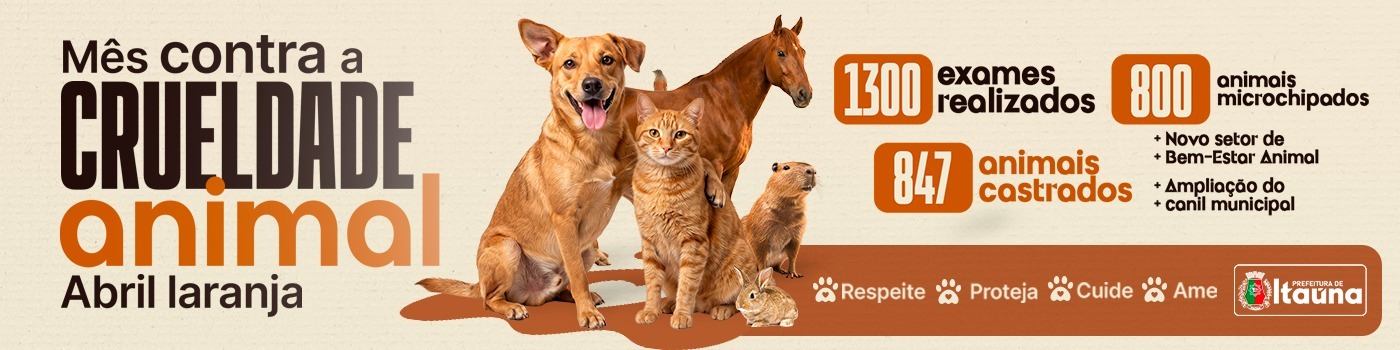 WhatsApp Image 2026-04-22 at 15.49.19