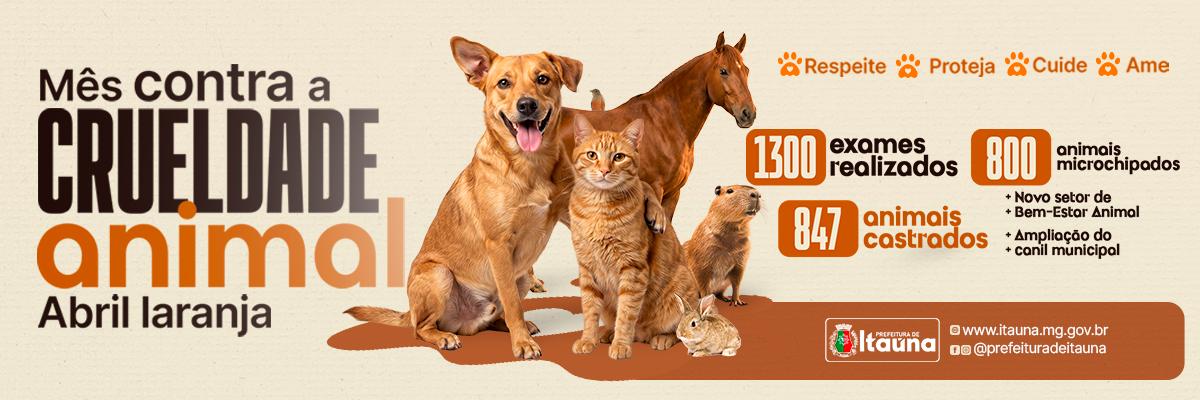 WhatsApp Image 2026-04-23 at 14.20.01